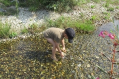 Wasserspiele