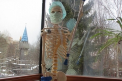 Fasching IV