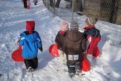 Schlittenfahren